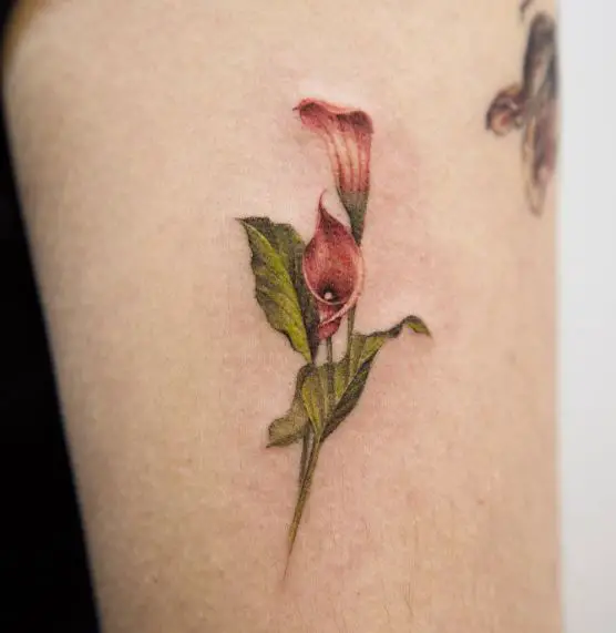 Red and Green Calla Lily Arm Tattoo