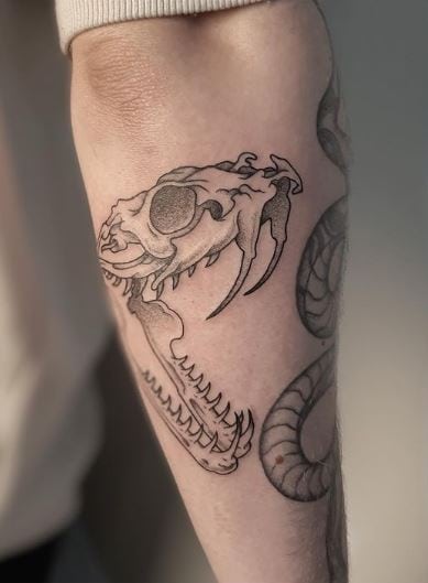 Snake Skull Forearm Tattoo