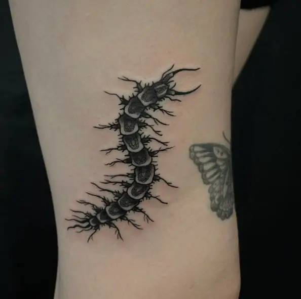 Spooky Greywash Centipede Tattoo