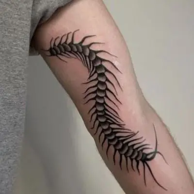 25 Creepy Centipede Tattoo Ideas for Men  Women in 2023