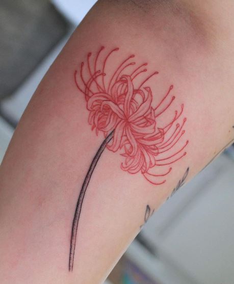 Red Spider Lily Inner Biceps Tattoo