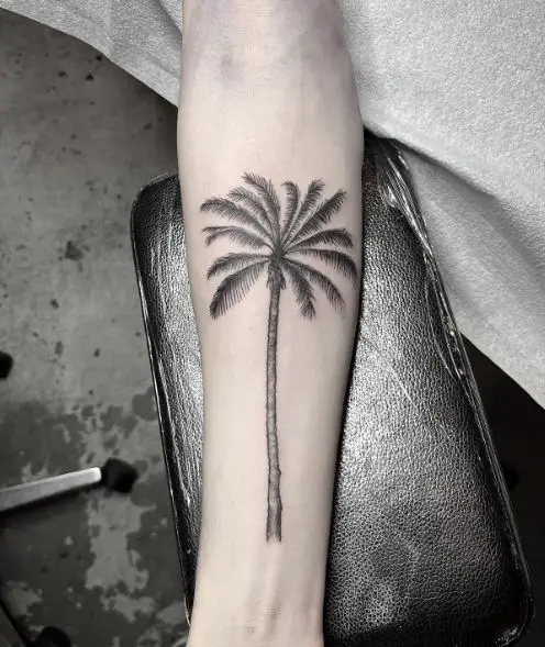 Black Shaded Palm Tree Forearm Tattoo