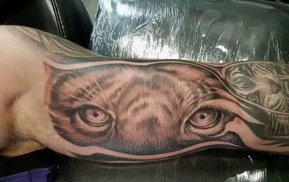 Tiger Eyes Inner Biceps Tattoo