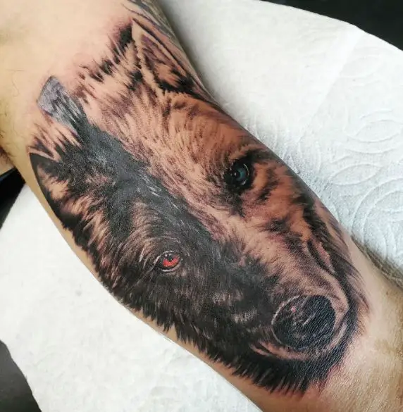 Black and Grey Wolf Inner Biceps Tattoo