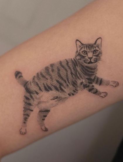 Grey Shaded Cat Biceps Tattoo