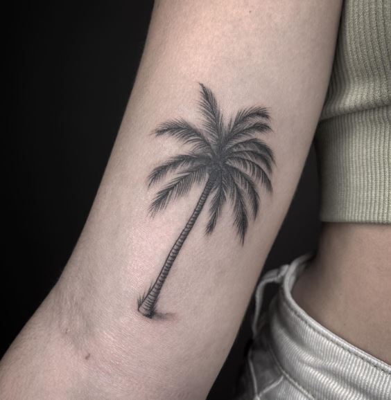 Shaded Detailed Palm Tree Biceps Tattoo