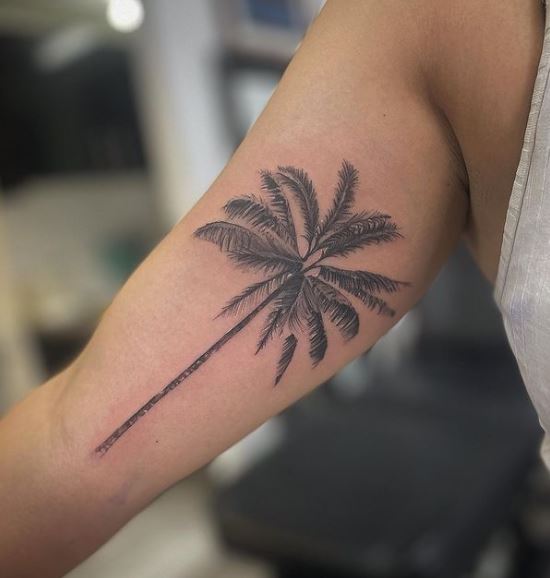 Black and Grey Detailed Palm Tree Inner Biceps Tattoo