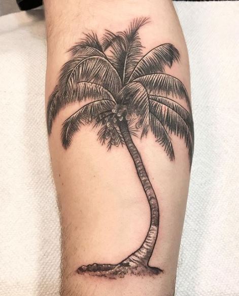 Black and Grey Detailed Palm Tree Forearm Tattoo