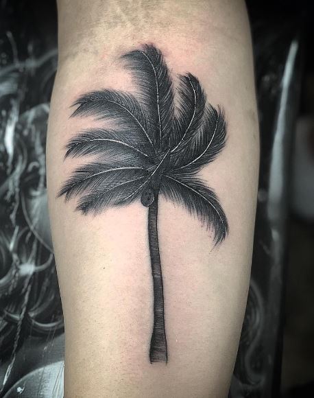 Black Detailed Palm Tree with Acorns Forearm Tattoo