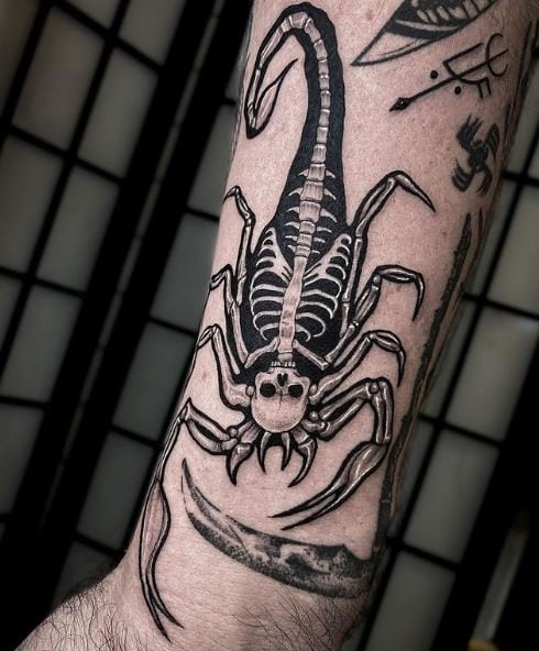 Skeleton Scorpion Forearm Tattoo