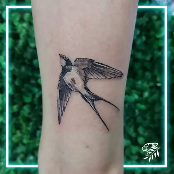 Swallow Bird Back of Arm Tattoo