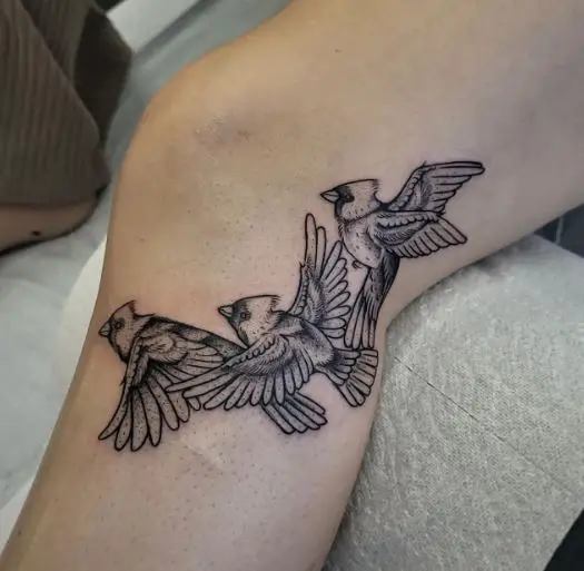 Three Flying Cardinals Knee Tattoo