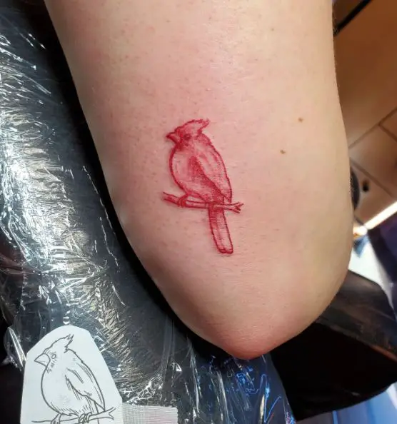Minimalistic Red Cardinal Elbow Tattoo