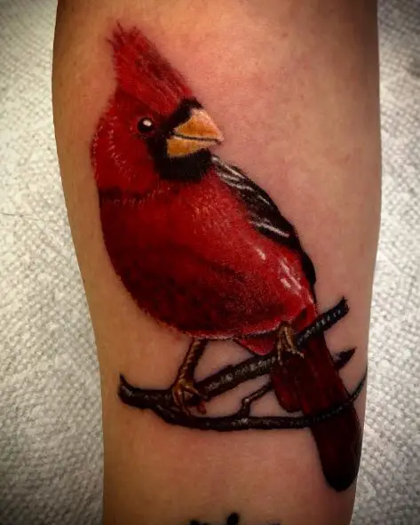 Black and Red Cardinal on Branch Forearm Tattoo