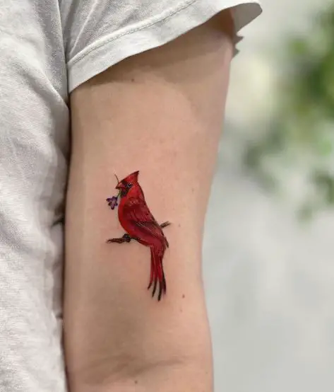 Minimalistic Cardinal on Branch Arm Tattoo