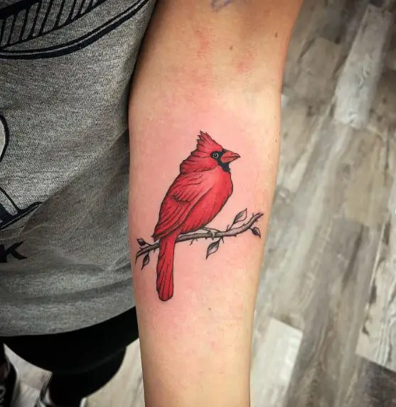 Red Cardinal on Branch Forearm Tattoo