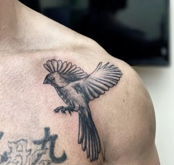 Black and Grey Flying Cardinal Shoulder Tattoo