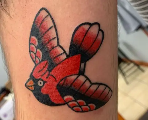 Traditional Flying Cardinal Arm Tattoo