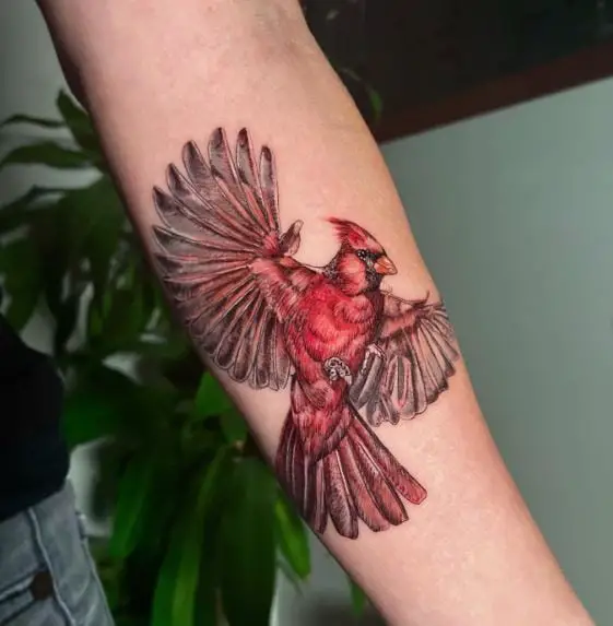 Colorful Flying Cardinal Forearm Tattoo