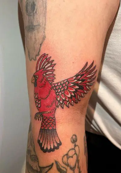 Black and Red Flying Cardinal Arm Tattoo