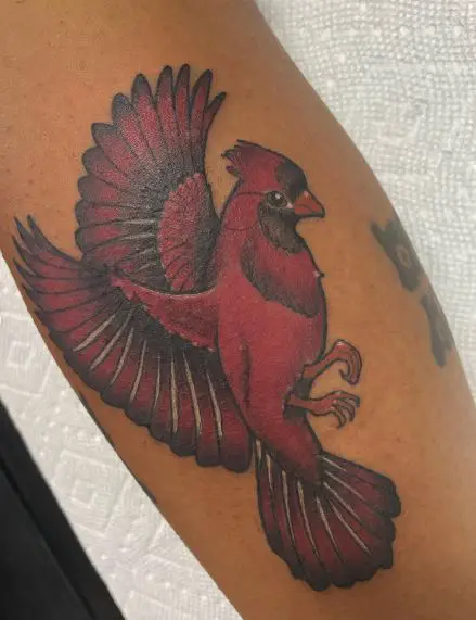 Red Flying Cardinal Arm Tattoo