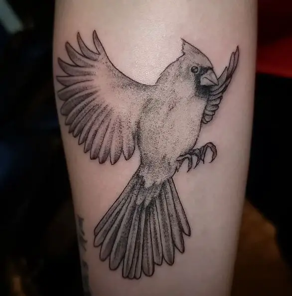 Black and Grey Flying Cardinal Leg Tattoo