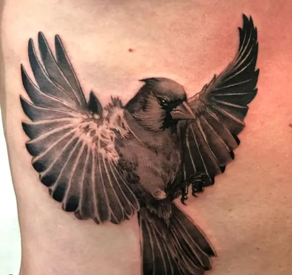 Black and Grey Flying Cardinal Ribs Tattoo