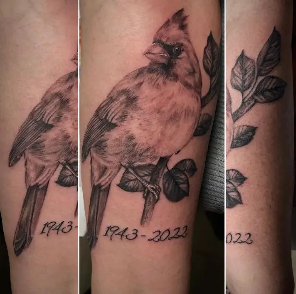 Grey Shaded Cardinal Memorial Tattoo