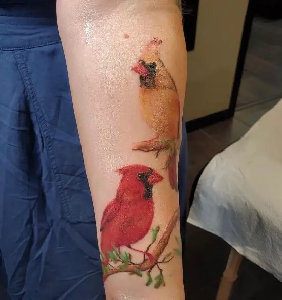 Colorful Two Cardinals on Branches Forearm Tattoo