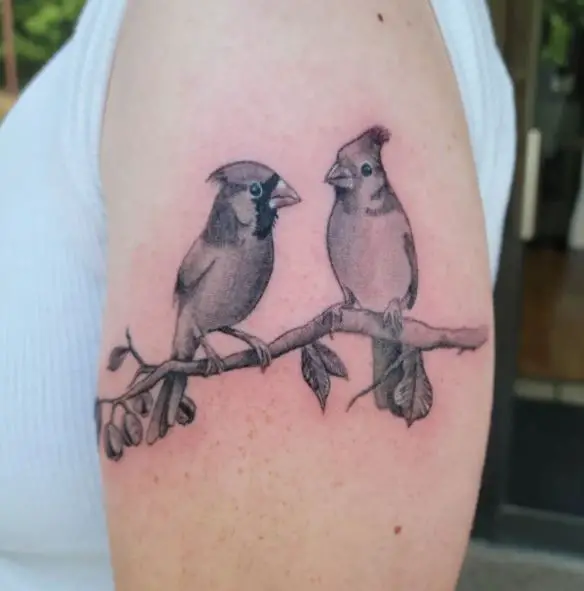 Black and Grey Two Cardinals on Branch Arm Tattoo