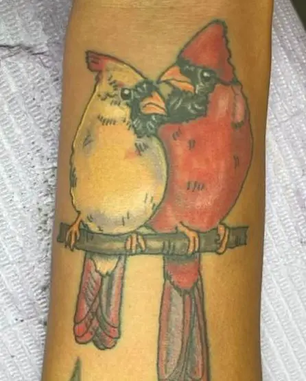 Colorful Two Cardinals on Branch Forearm Tattoo