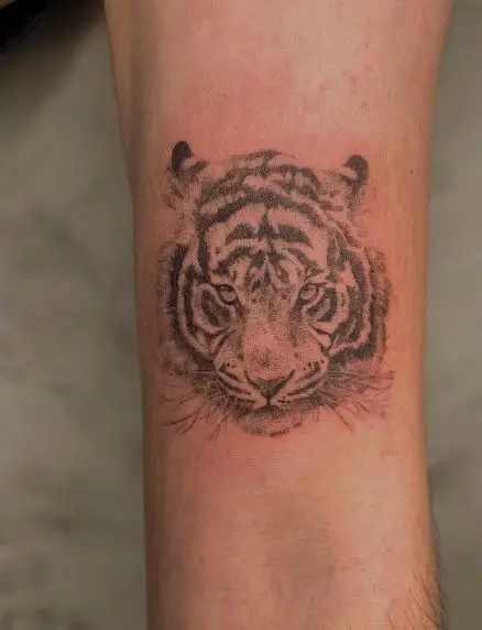 Black and Grey Tiger Face Biceps Tattoo
