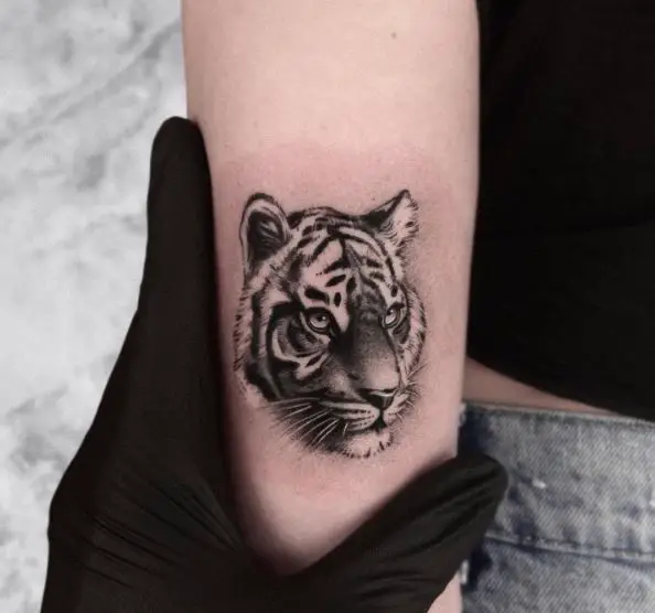 Minimalistic Tiger Face Forearm Tattoo