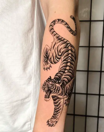 Black and Grey Roaring Tiger Forearm Tattoo