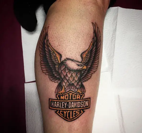 Colorful Eagle and Harley Davidson Logo Leg Tattoo