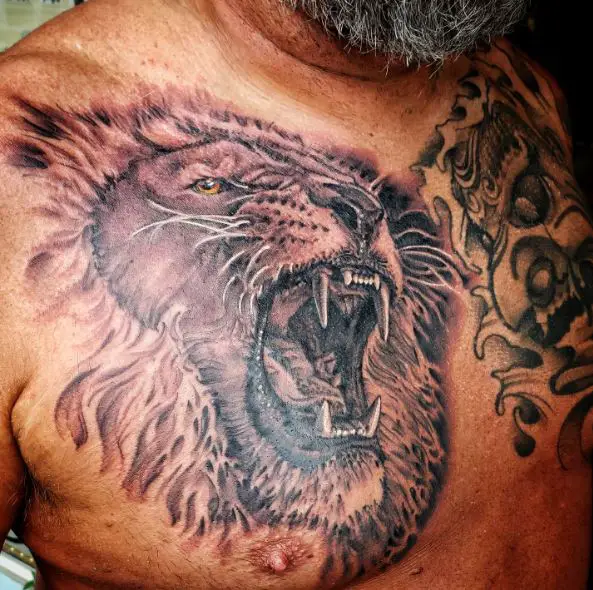 Black and Grey Roaring Lion Chest Tattoo