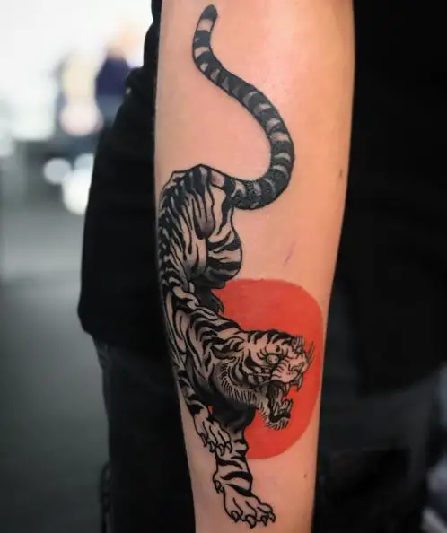 Red Sun and Crawling Japanese Tiger Forearm Tattoo