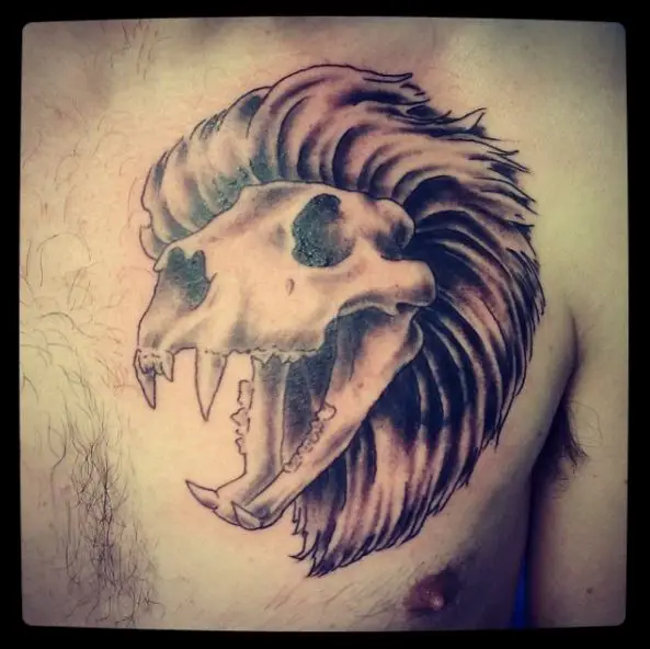 Black and Grey Lion Skull with Mane Chest Tattoo