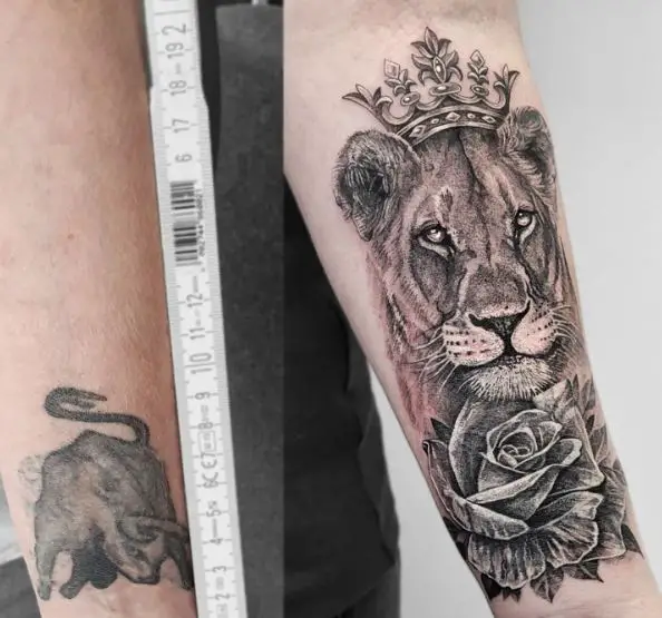 Black and Grey Rose and Lioness with Crown Forearm Tattoo