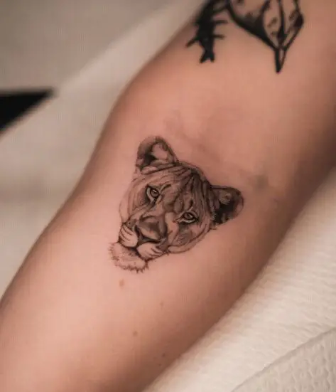 Minimalistic Lioness Forearm Tattoo