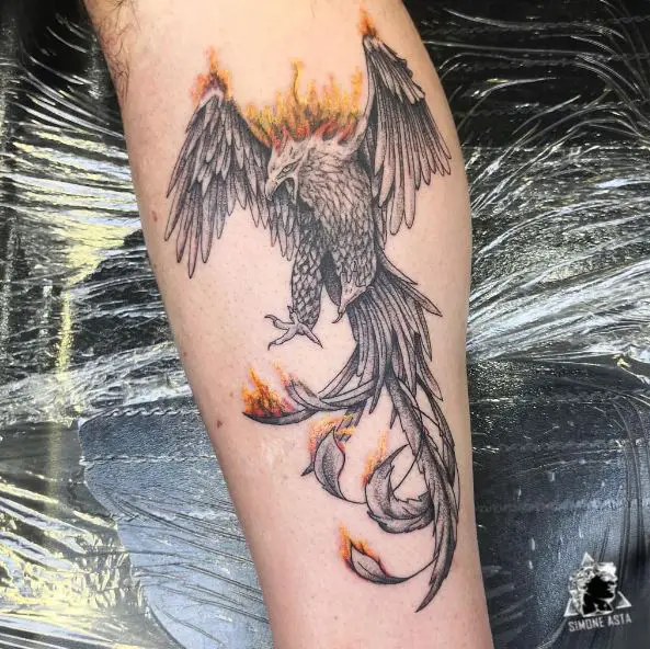 Pencil Sketch Phoenix Forearm Tattoo