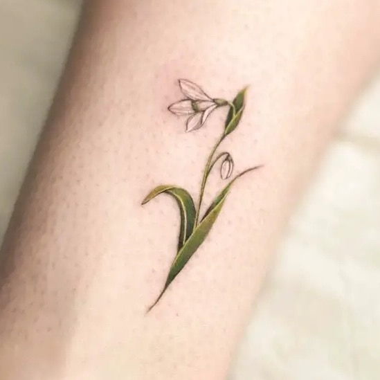 Snowdrop Flower Botanical Tattoo Design