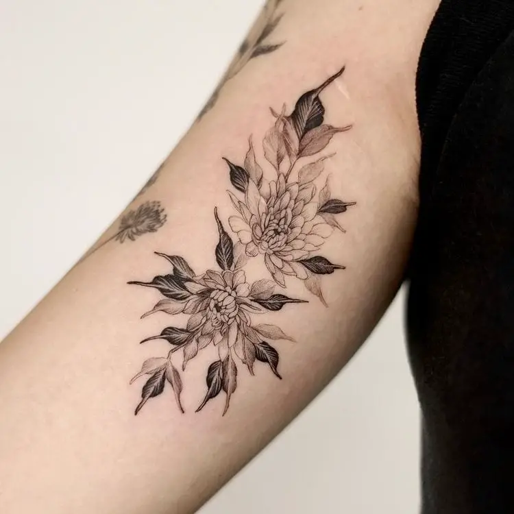 Two Chrysanthemum Flowers In Opposite Direction Tattoo