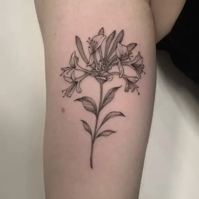 Whip Shade Honeysuckle Flower Arm Tattoo Design