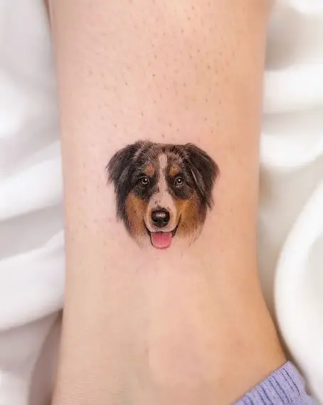 Australian Shepherd Face Tattoo