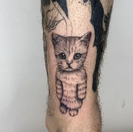 Cute Kitten Tattoo