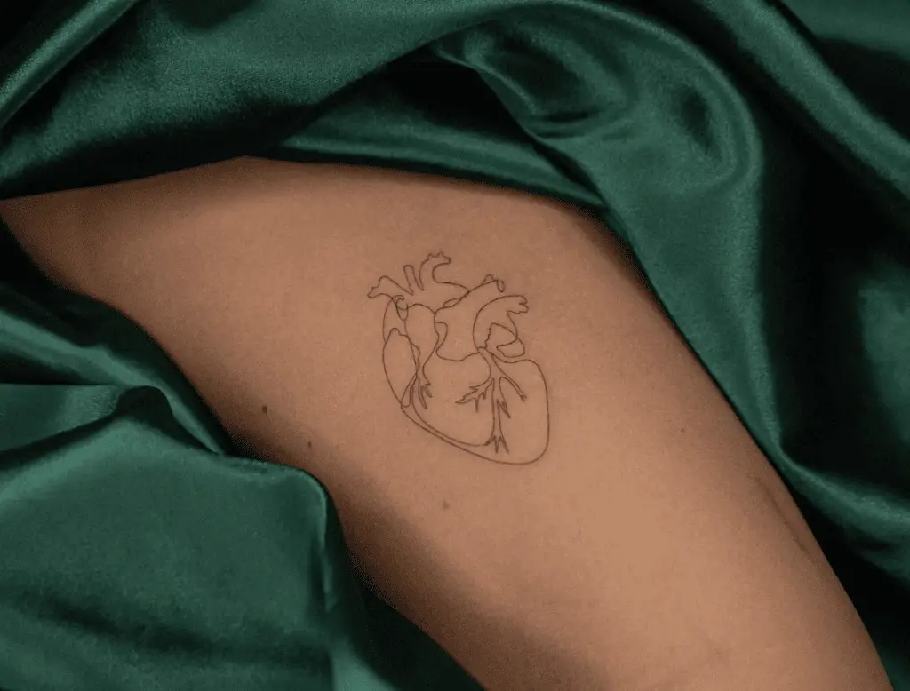 Simple Outline Heart Antomy Tattoo