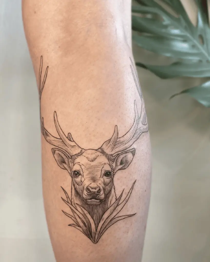 Deer Line Shading Tattoo