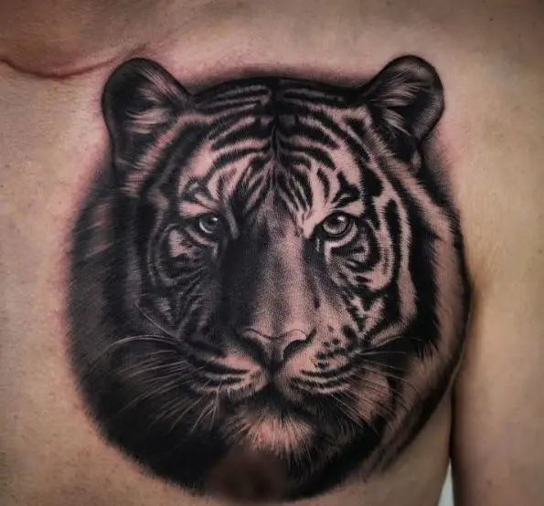 Real Looking Lion Face Chest Tattoo