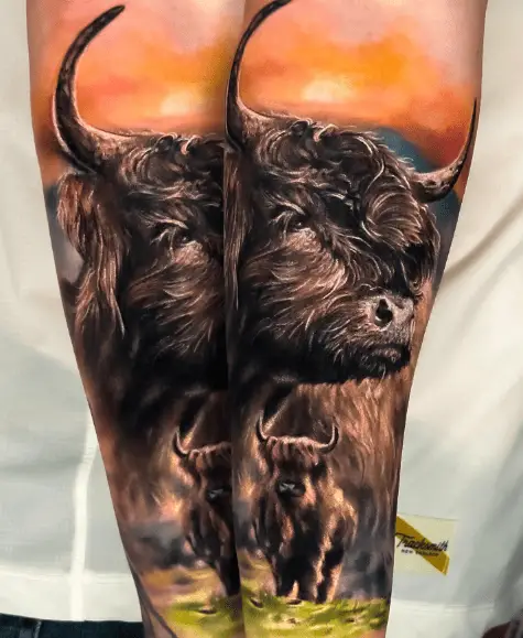 Realistic Highland Cows Tattoo